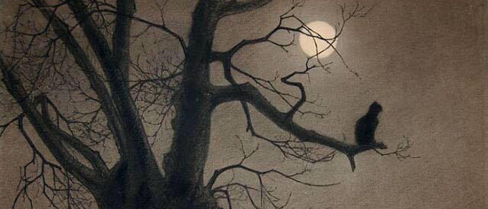 Steinlen